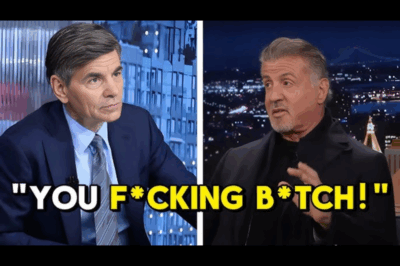 Sylvester Stallone Kicked Off Good Morning America After Fiery Argument With George Stephanopoulos