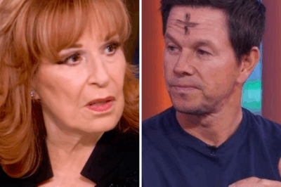 Mark Wahlberg Kicked Off The View After Fiery Showdown With Joy Behar