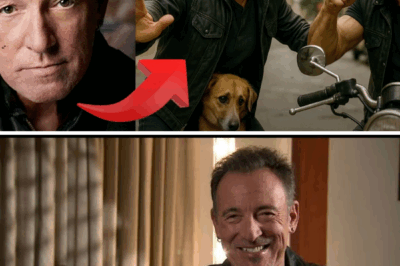 A Motorcyclist Tries to Attack a Dog – But Bruce Springsteen Steps in and Surprises Everyone!