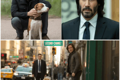 Man Abandons His Dog Without Knowing That Keanu Reeves Was Behind! You’ll Be Shocked by What He Does