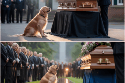 The Dog Kept Barking Before the Female Officer’s Coffin—Then a Miracle No One Expected Happened