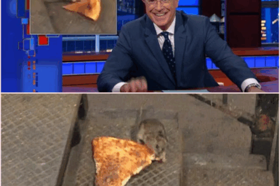 The Phenomenon of Pizza Rat: A Cultural Commentary on Urban Life