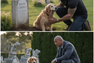 Dwayne Johnson Saw a Dog Crying at His Owner’s Grave—What Did He Do Next?