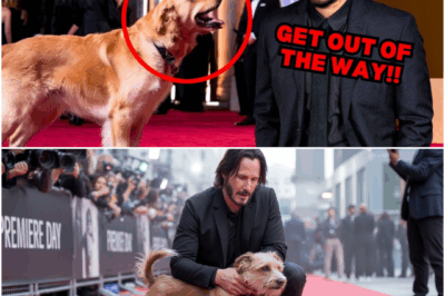 On Keanu Reeves Premiere Day, His Dog Blocked His Path – Then He Discovered the Heartbreaking Reason