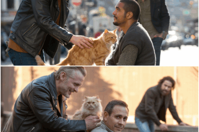Biker Kicks Homeless Man’s Cat for Fun, Unaware Jason Momoa Is Watching! A Life Changing Tale