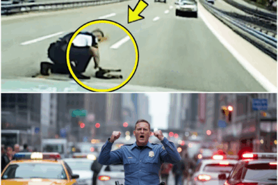Cop Screamed & Blocked Traffic On Busy Road – The Reason Left Everyone STUNNED!