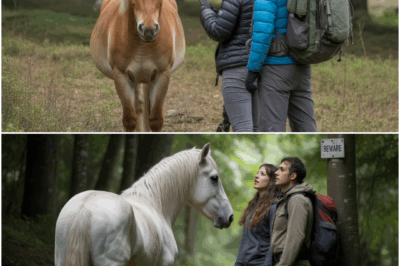 Hikers Spot a Lone Horse in The Forest. When They Look Closer, They Freeze in Shock!