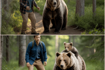 Crying Bear Mom Leads Man To Her Dying Cub – But The Man Is Shocked When The Bear Does THIS!