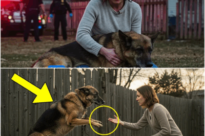 German Shepherd Chained for Years Stretching His Paws Desperately for Love Until a Woman Did This
