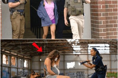 K9 Dog Uncovers Human Trafficking Ring — The Bark That Saved Dozens