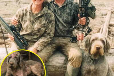 🚨COUPLE VANISHES ON HUNTING TRIP — 2 YEARS LATER, THEIR DOG RETURNS, BLOOD-STAINED AND CARRYING A TERRIFYING SECRET!