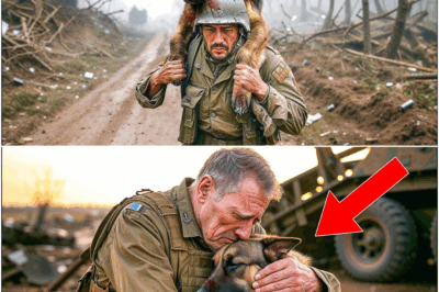 Retired Firefighter Found His Missing K9 German Shepherd CLINGING in a Junkyard—His Act Moved Nation