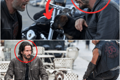 Ruthless Biker Kicked a Dog for Fun, Unaware Keanu Reeves Is the Owner!