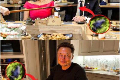 Inside Elon Musk’s Daily Diet: What He and His Family Really Eat