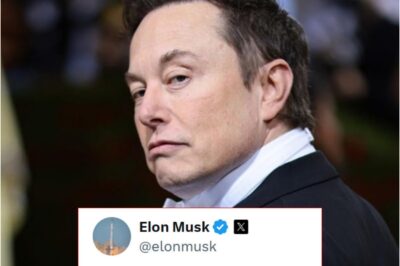 Elon Musk Reveals Shocking Truth on X: Steve Bannon Named in Epstein File—But Will Anyone Believe It?