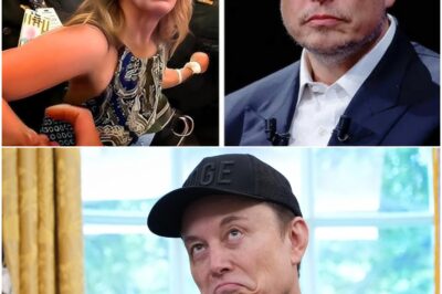 Woman Denies Elon Musk First Class—What He Said Next Changed Everything!