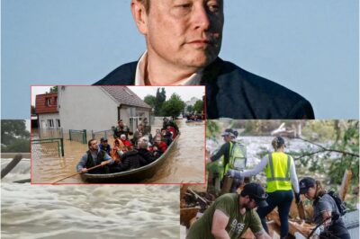 Elon Musk’s Historic $50 Billion Pledge to Global Disaster Relief: Fact or Fiction?