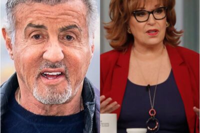 Sylvester Stallone Walks Off ‘The View’ After Explosive On-Air Showdown With Joy Behar