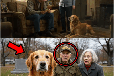 A Dog Walked Into a Veteran’s Ceremony—What Hung from His Neck Stopped Everything