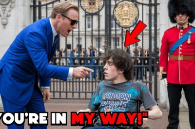 Royal Guard Breaks Tradition to Delight Boy in Wheelchair—Crowd’s Hearts Melt at Touching Moment