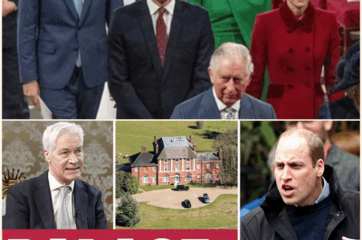 End of the Monarchy As We Know It? Royal Crisis Sparks Fears for the Future of the Crown