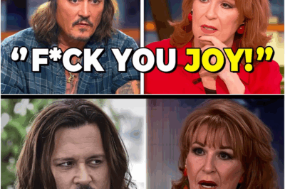 Johnny Depp Storms Off The View Following Intense Joy Behar Debate