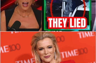 Megyn Kelly Left Speechless as Black Liberal Voices Explode in Outrage Over Controversial Ghetto Crackdown in Washington DC, Sparking Heated Debate on Live TV
