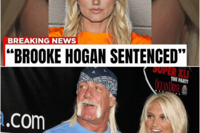 Final Goodbye: The Sentencing of Hulk Hogan’s Daughter Leaves Everyone Heartbroken!
