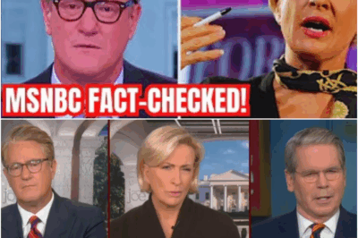 Scott Bessent Accuses MSNBC of BLS Data Scandal, Demands Accountability as the Network Faces Unprecedented Criticism Over Its Economic Reporting Practices