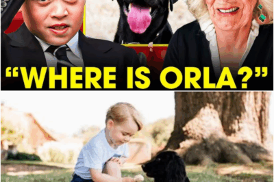 Royal Shock: Camilla Secretly Confiscates Prince George’s Dog on His 12th Birthday—Prince Left in Tears!