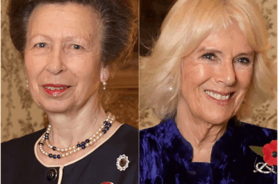 Princess Anne Breaks Her Silence: The Truth About Her Relationship With Queen Camilla Finally Revealed!