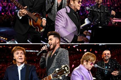 “I Came To Hear A Song… But I Left Believing In Love Again.” Those Tearful Words From A Fan Captured The Magic As The Final Notes Of All You Need Is Love Rang Through The Arena.