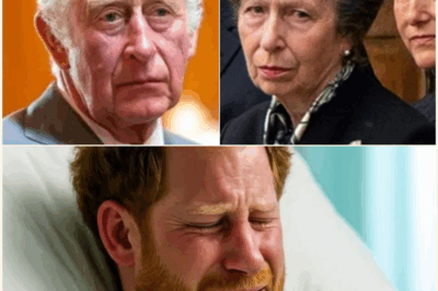 Heartbreaking Moment: Prince Harry Pleads “Father… Save Me” in Hospital as King Charles Stands Frozen in Agony