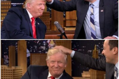 Donald Trump’s hair was “pulled” by Jimmy on television and his reaction was shocking