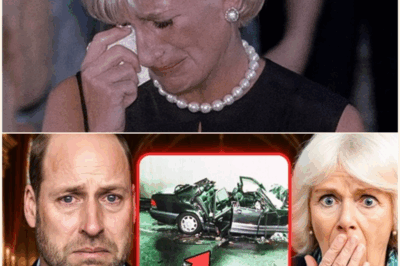 Prince William Finally Reveals the Truth Behind Princess Diana’s Car Crash—“Here’s Who Was Really Responsible…”
