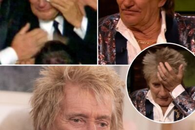 Rod Stewart Rips the Veil Off His Life at 80, Revealing the Raw Price of Fame, the Raspy Voice That Defined a Generation