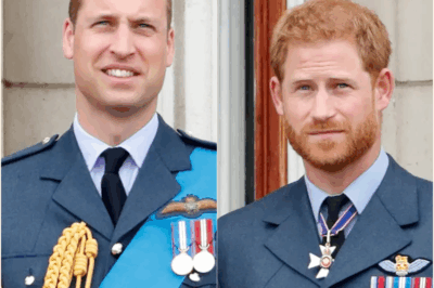 Why Prince William Has Finally Turned His Back on Prince Harry: The Royal Rift Nobody Saw Coming