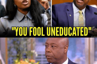 When Satire Collides with Daytime Sunshine: Inside Randy Rainbow’s Explosive Walk-Off from The Kelly Clarkson Show