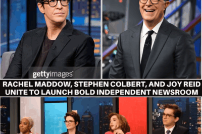 Breaking News: Rachel Maddow, Stephen Colbert, and Joy Reid Unite to Launch Bold Independent Newsroom