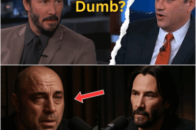 Keanu Reeves’ Legendary Responses to the Most Awkward Questions – WATCH!