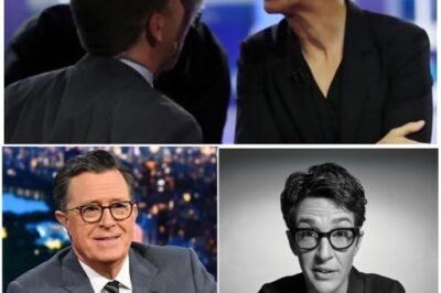 Media Mutiny: Maddow, Colbert & Reid Torch Network News—Launching a Ruthless Revolution to Obliterate Censorship and Corporate Control!