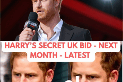 HARRY & HIS TOP SECRET UK REQUEST