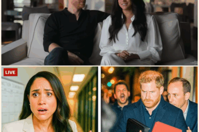 More Shocking Secrets Revealed: Inside Meghan and Harry’s Netflix Disaster!