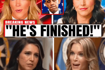 The Two-Pronged Takedown: How Megyn Kelly and Tulsi Gabbard Shattered the Obama Myth