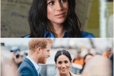 Social Media Erupts as Meghan Markle Fights Explosive Claims of Past Ties to Epstein-Linked Circle—Palace Slams Allegations as ‘Defamatory’