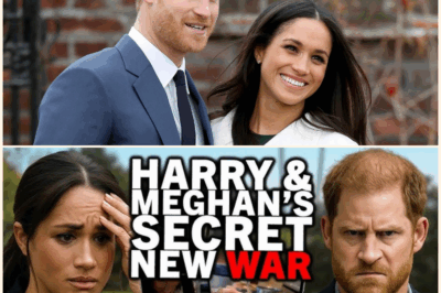 “It’s Blowing Up!” Explosive New Feud Erupts Between Meghan Markle and Prince Harry as They Refuse to Support Each Other