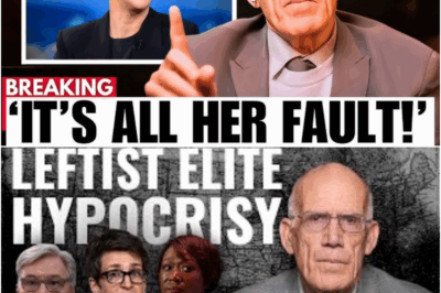 Victor Davis Hanson Obliterates Rachel Maddow On Live TV, Exposing MSNBC’s Downfall And Leaving Viewers Stunned