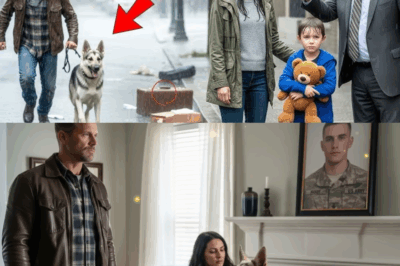 Widow and Son Evicted in the Rain — Then a Soldier and His Dog Uncovered a Shocking Promise