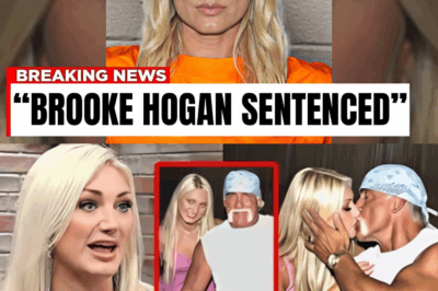 Hulk Hogan’s Daughter Sentenced, Goodbye Forever