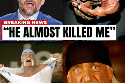 WWE Wrestlers Reveal Why They Hated Hulk Hogan